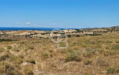 ÇANAKKALE AYVACIK DENİZ MANZARALI TURİZM TEŞVİKTE FIRSAT TARLA