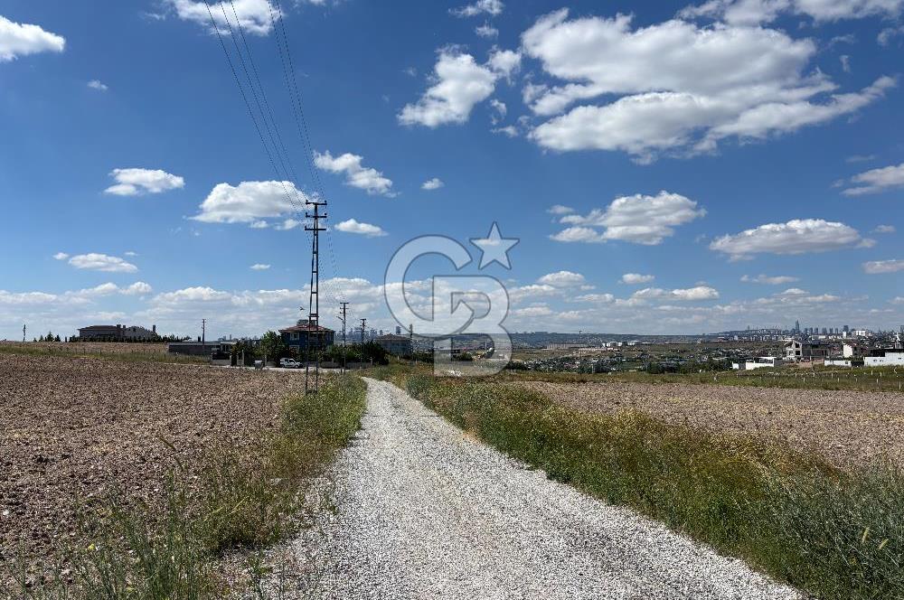 CB VİZYON’DAN PROF. KONAĞI YAKINI 1500m2 VİLLA PARSELİ
