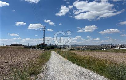 CB VİZYON’DAN PROF. KONAĞI YAKINI 1500m2 VİLLA PARSELİ