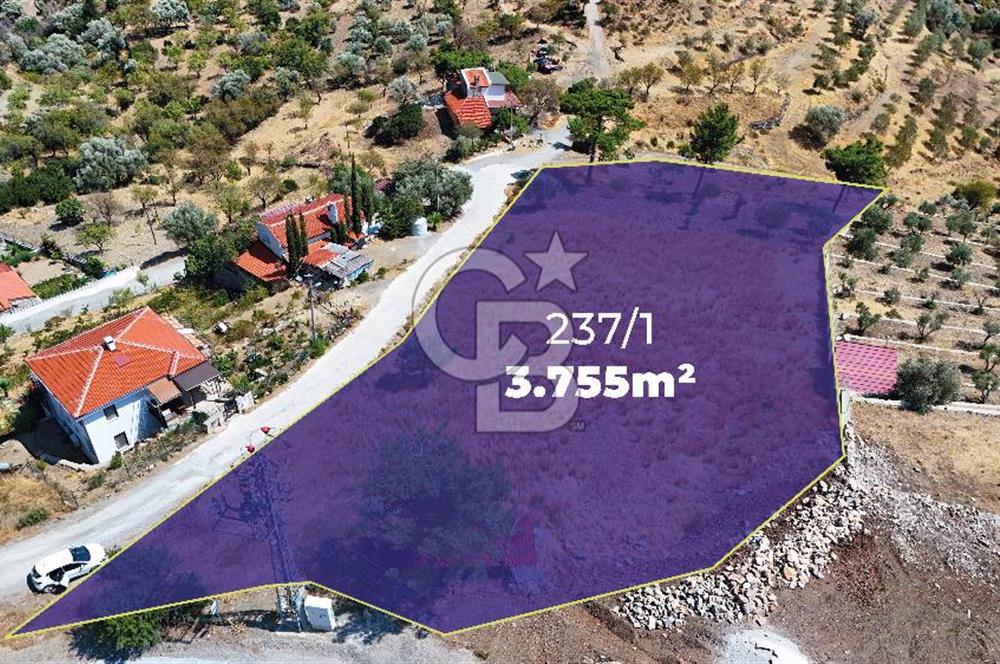 Datçanın Saklı Cenneti Mesudiyede Hayatınızın Yatırımı!