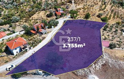 Datçanın Saklı Cenneti Mesudiyede Hayatınızın Yatırımı!