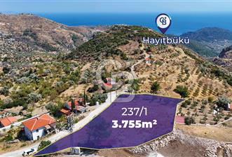 Datçanın Saklı Cenneti Mesudiyede Hayatınızın Yatırımı! - 1 - 354341