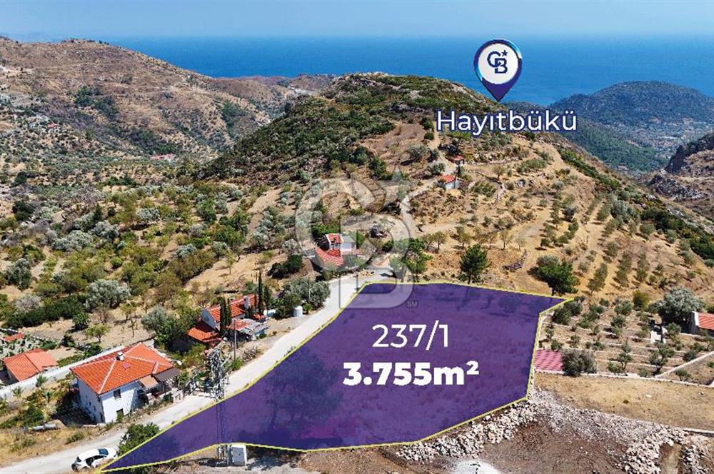 Datçanın Saklı Cenneti Mesudiyede Hayatınızın Yatırımı!