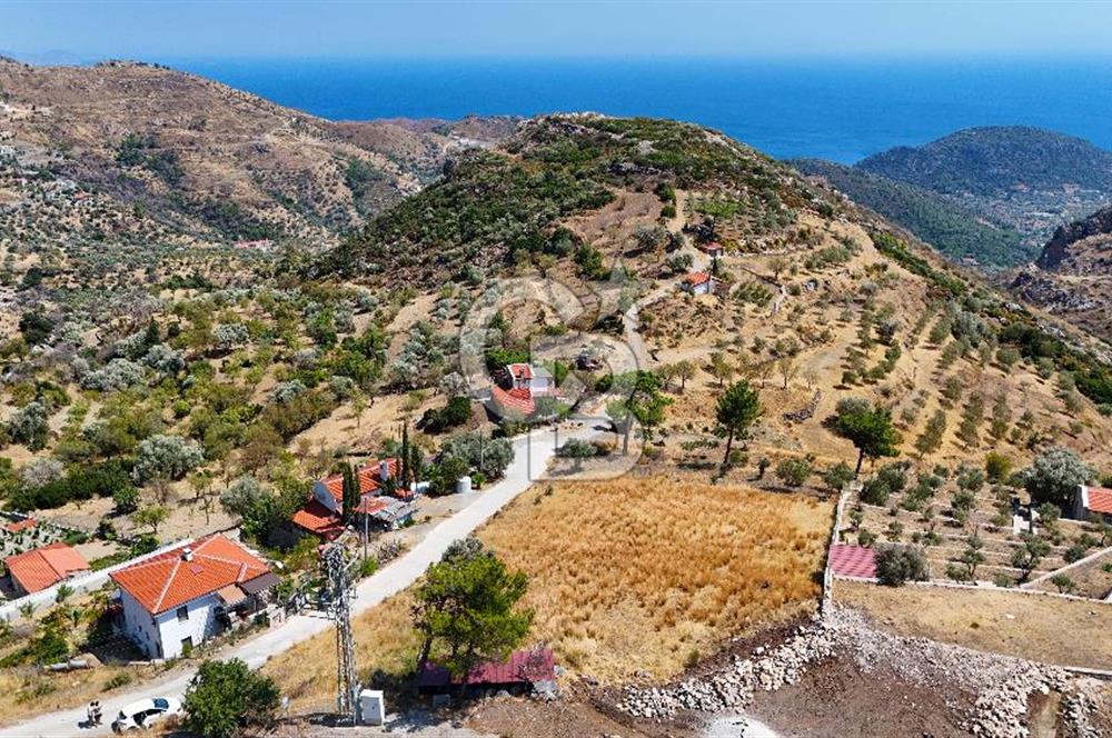 Datçanın Saklı Cenneti Mesudiyede Hayatınızın Yatırımı!