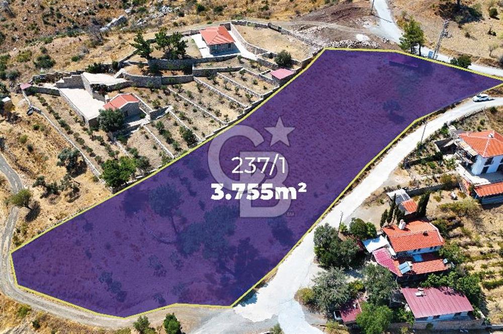 Datçanın Saklı Cenneti Mesudiyede Hayatınızın Yatırımı!