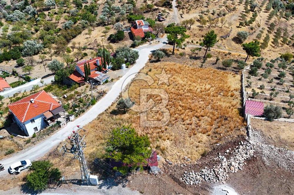 Datçanın Saklı Cenneti Mesudiyede Hayatınızın Yatırımı!