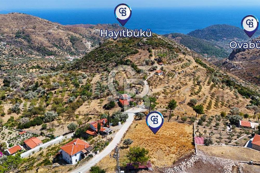 Datçanın Saklı Cenneti Mesudiyede Hayatınızın Yatırımı!