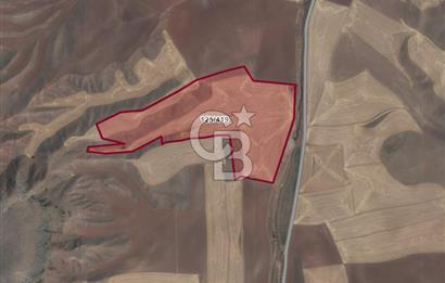 ANKARA POLATLI MACUN DA SATILIK TARLA