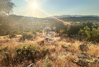 Menemen Alaniçi Köyü’nde Manzaralı ve Zeytin Ağaçlı 4.700 m² Satılık Tarla - 1 - 354371