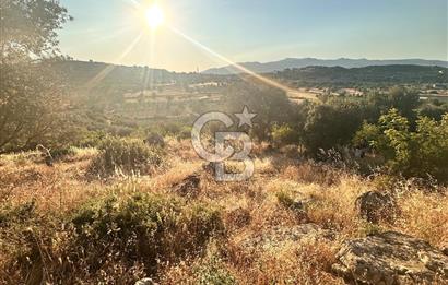 Menemen Alaniçi Köyü’nde Manzaralı ve Zeytin Ağaçlı 4.700 m² Satılık Tarla