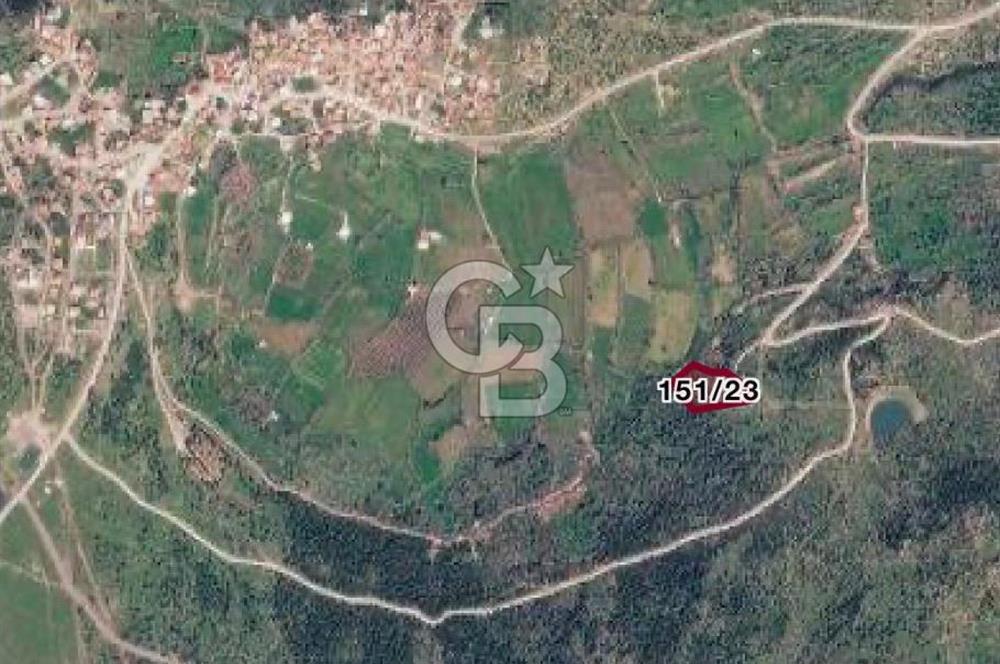 Menemen Alaniçi Köyü’nde Manzaralı ve Zeytin Ağaçlı 4.700 m² Satılık Tarla