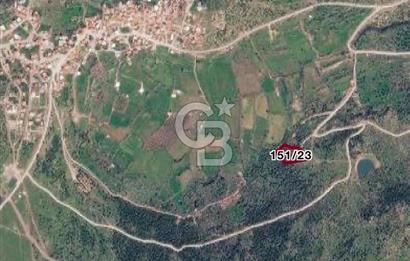 Menemen Alaniçi Köyü’nde Manzaralı ve Zeytin Ağaçlı 4.700 m² Satılık Tarla