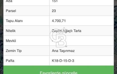 Menemen Alaniçi Köyü’nde Manzaralı ve Zeytin Ağaçlı 4.700 m² Satılık Tarla
