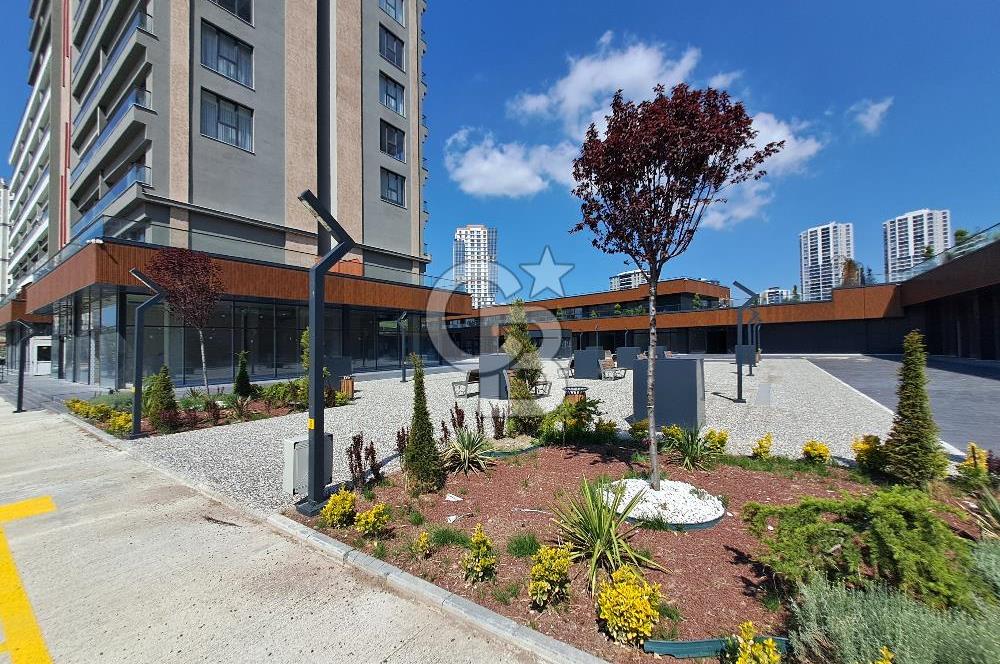 BORDO YAŞAM'DA 1+1 KİRALIK SIFIR DAİRE