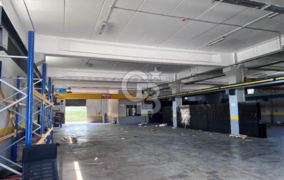 YALOVA ALTINOVA TAVŞANLI KİRALIK FABRİKA İMALATHANE.! 2200 M2