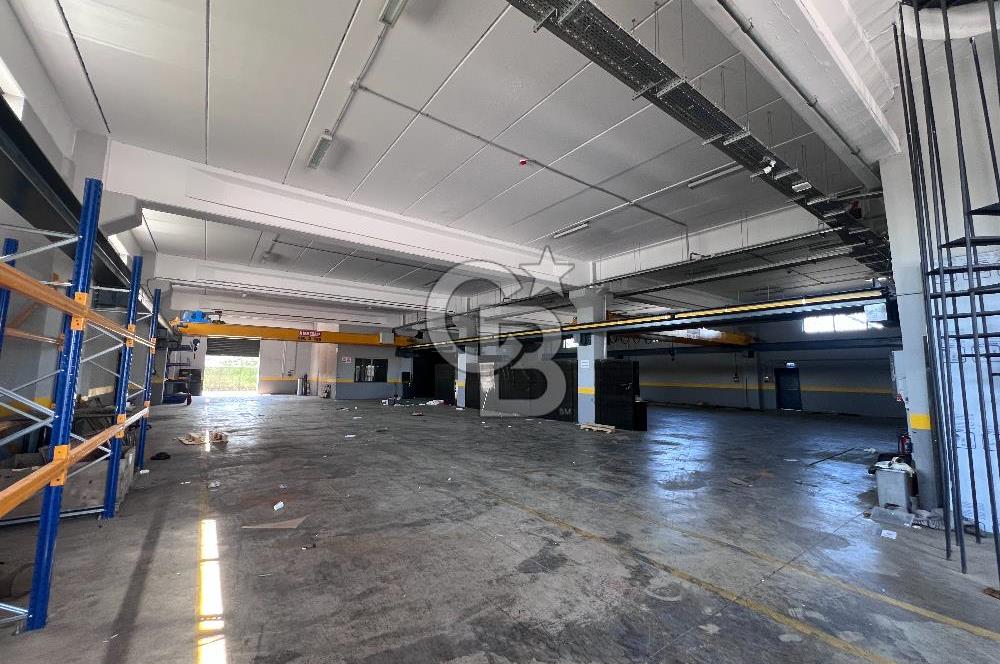 YALOVA ALTINOVA TAVŞANLI KİRALIK FABRİKA İMALATHANE.! 2200 M2