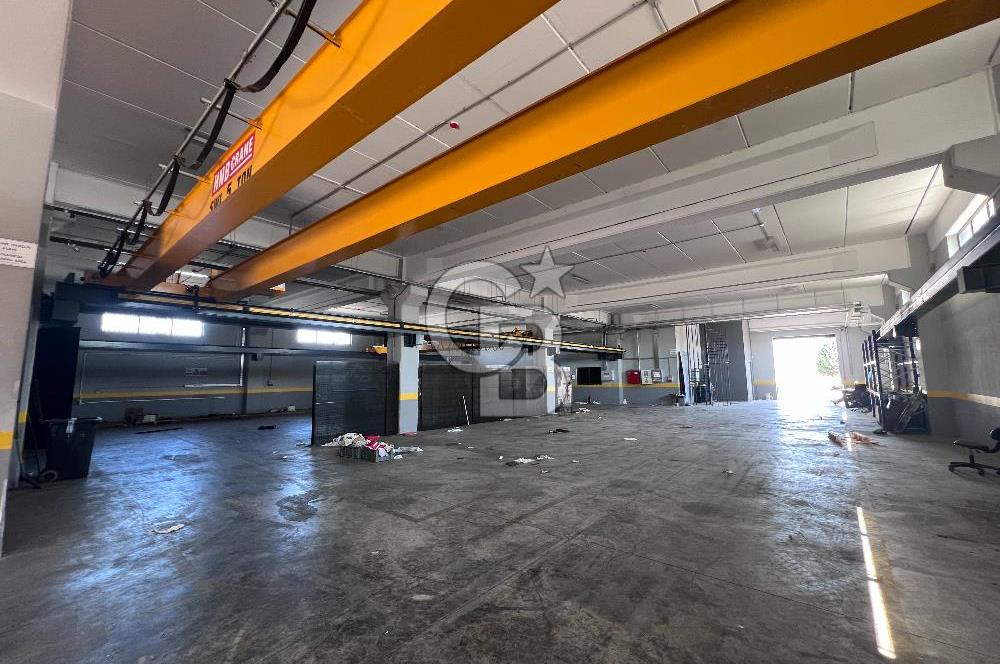 YALOVA ALTINOVA TAVŞANLI KİRALIK FABRİKA İMALATHANE.! 2200 M2