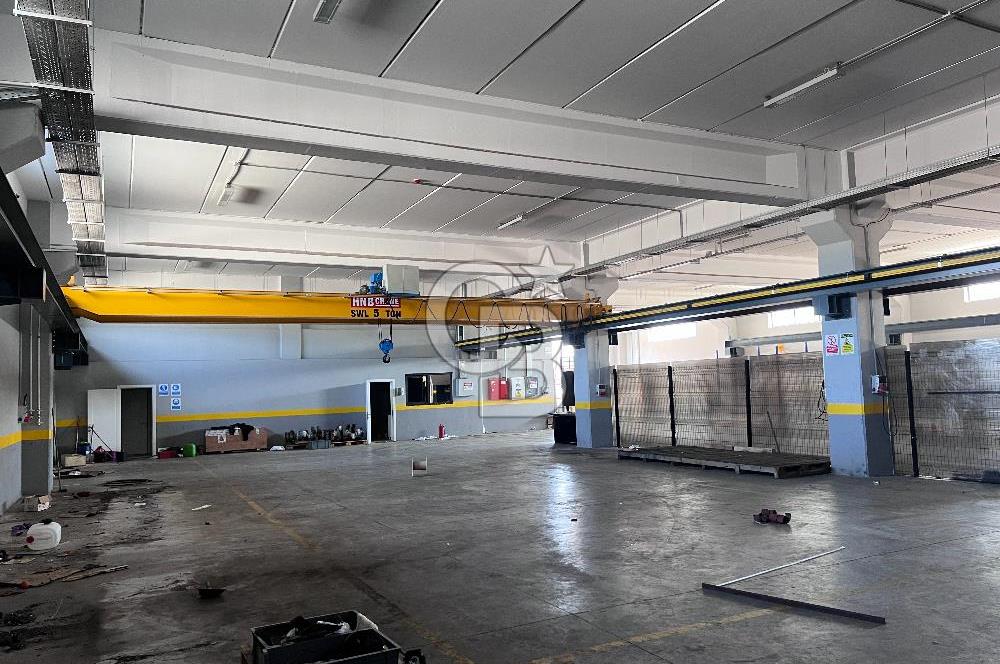 YALOVA ALTINOVA TAVŞANLI KİRALIK FABRİKA İMALATHANE.! 2200 M2