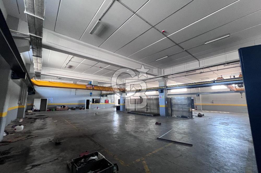 YALOVA ALTINOVA TAVŞANLI KİRALIK FABRİKA İMALATHANE.! 2200 M2