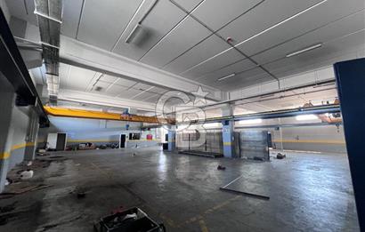 YALOVA ALTINOVA TAVŞANLI KİRALIK FABRİKA İMALATHANE.! 2200 M2