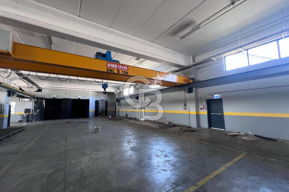 YALOVA ALTINOVA TAVŞANLI KİRALIK FABRİKA İMALATHANE.! 2200 M2