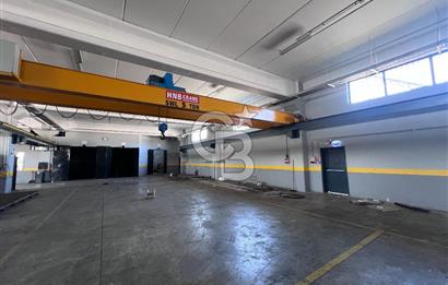 YALOVA ALTINOVA TAVŞANLI KİRALIK FABRİKA İMALATHANE.! 2200 M2