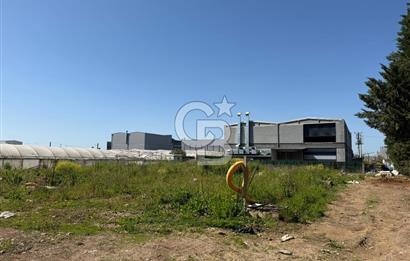 YALOVA TAVŞANLI SATILIK ARSA VE RUHSATLARI HAZIR NATAMAM BİNA