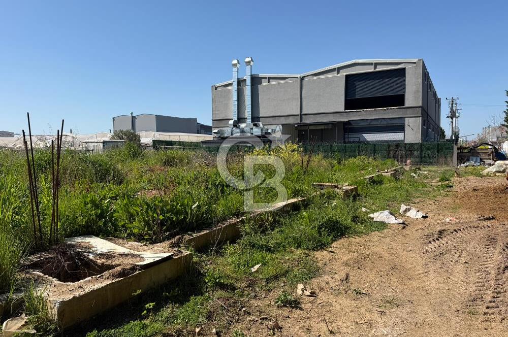 YALOVA TAVŞANLI SATILIK ARSA VE RUHSATLARI HAZIR NATAMAM BİNA