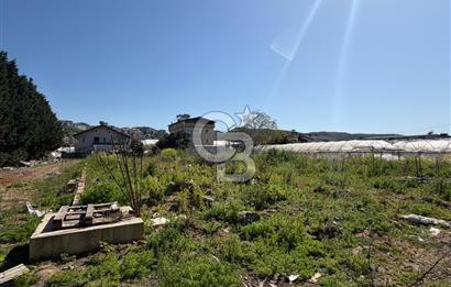 YALOVA TAVŞANLI SATILIK ARSA VE RUHSATLARI HAZIR NATAMAM BİNA