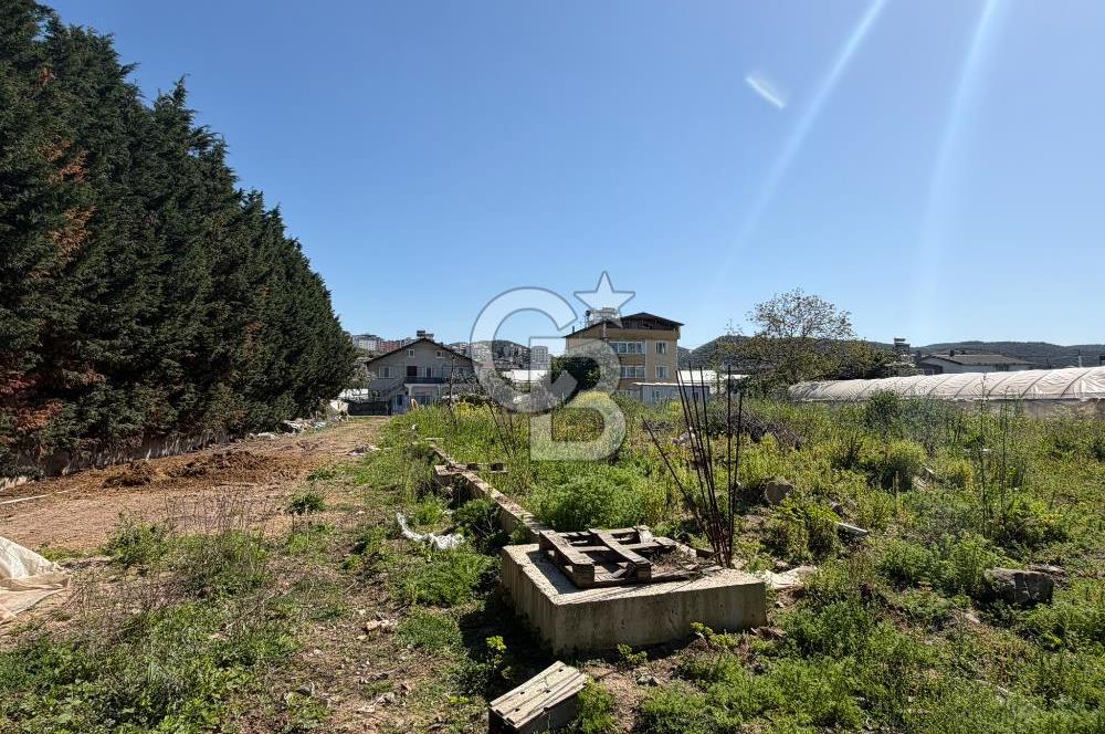 YALOVA TAVŞANLI SATILIK ARSA VE RUHSATLARI HAZIR NATAMAM BİNA