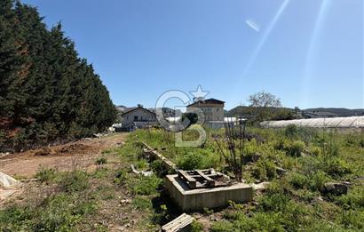 YALOVA TAVŞANLI SATILIK ARSA VE RUHSATLARI HAZIR NATAMAM BİNA