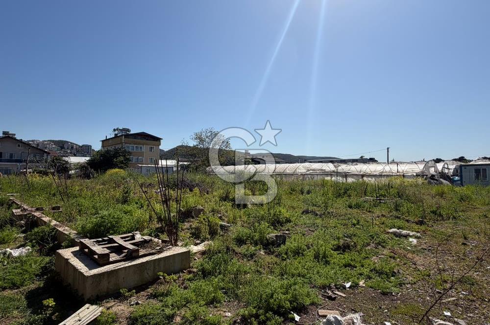 YALOVA TAVŞANLI SATILIK ARSA VE RUHSATLARI HAZIR NATAMAM BİNA