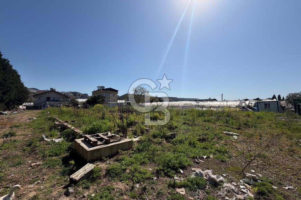 YALOVA TAVŞANLI SATILIK ARSA VE RUHSATLARI HAZIR NATAMAM BİNA