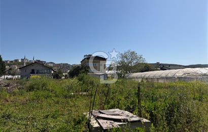 YALOVA TAVŞANLI SATILIK ARSA VE RUHSATLARI HAZIR NATAMAM BİNA