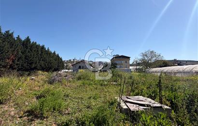 YALOVA TAVŞANLI SATILIK ARSA VE RUHSATLARI HAZIR NATAMAM BİNA