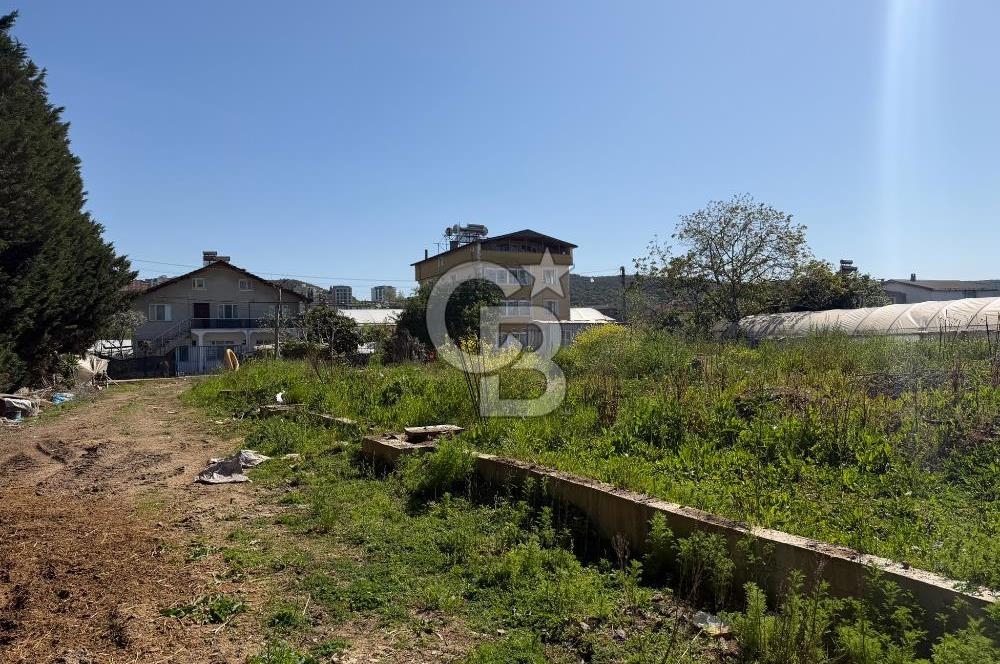 YALOVA TAVŞANLI SATILIK ARSA VE RUHSATLARI HAZIR NATAMAM BİNA