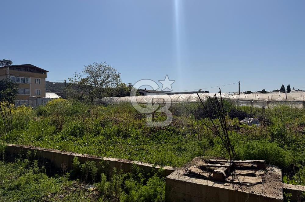 YALOVA TAVŞANLI SATILIK ARSA VE RUHSATLARI HAZIR NATAMAM BİNA