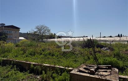 YALOVA TAVŞANLI SATILIK ARSA VE RUHSATLARI HAZIR NATAMAM BİNA