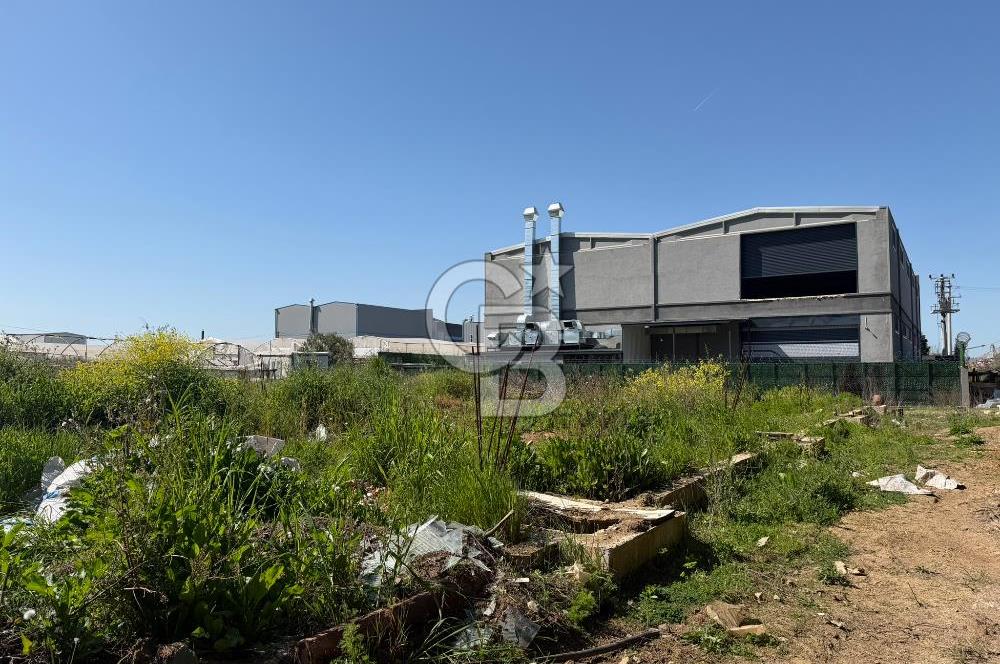 YALOVA TAVŞANLI SATILIK ARSA VE RUHSATLARI HAZIR NATAMAM BİNA