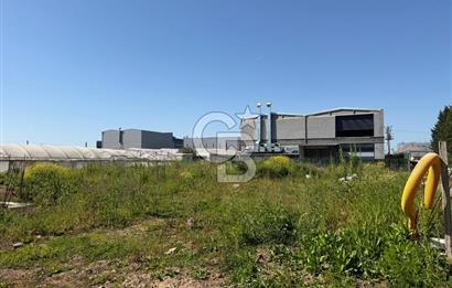 YALOVA TAVŞANLI SATILIK ARSA VE RUHSATLARI HAZIR NATAMAM BİNA