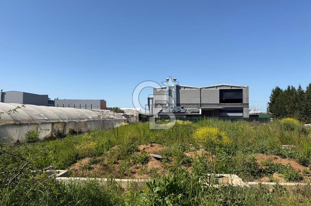 YALOVA TAVŞANLI SATILIK ARSA VE RUHSATLARI HAZIR NATAMAM BİNA