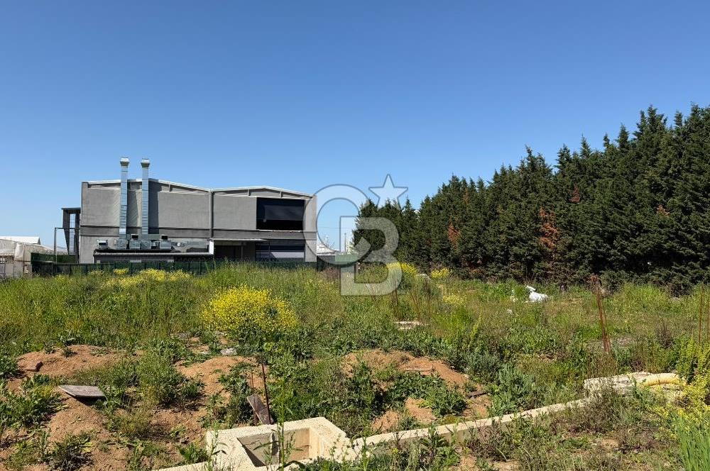 YALOVA TAVŞANLI SATILIK ARSA VE RUHSATLARI HAZIR NATAMAM BİNA