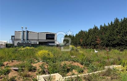 YALOVA TAVŞANLI SATILIK ARSA VE RUHSATLARI HAZIR NATAMAM BİNA