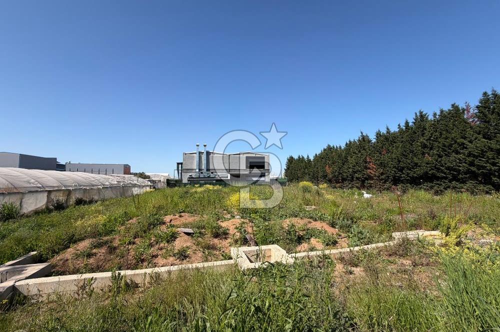 YALOVA TAVŞANLI SATILIK ARSA VE RUHSATLARI HAZIR NATAMAM BİNA
