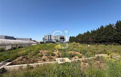 YALOVA TAVŞANLI SATILIK ARSA VE RUHSATLARI HAZIR NATAMAM BİNA