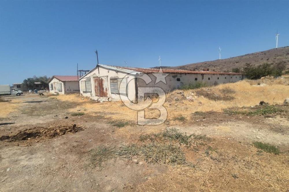 URLA ZEYTİNELİ'NDE RUHSATLI, ÜRETİME HAZIR, YÜKSEK POTANSİYELLİ TAVUK ÇİFTLİĞİ