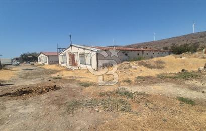 URLA ZEYTİNELİ'NDE RUHSATLI, ÜRETİME HAZIR, YÜKSEK POTANSİYELLİ TAVUK ÇİFTLİĞİ