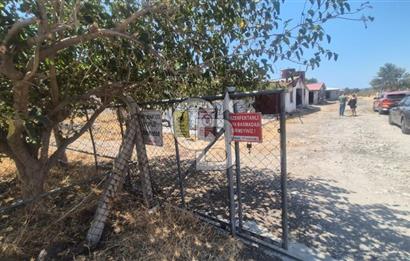 URLA ZEYTİNELİ'NDE RUHSATLI, ÜRETİME HAZIR, YÜKSEK POTANSİYELLİ TAVUK ÇİFTLİĞİ