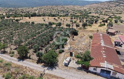 URLA ZEYTİNELİ'NDE RUHSATLI, ÜRETİME HAZIR, YÜKSEK POTANSİYELLİ TAVUK ÇİFTLİĞİ