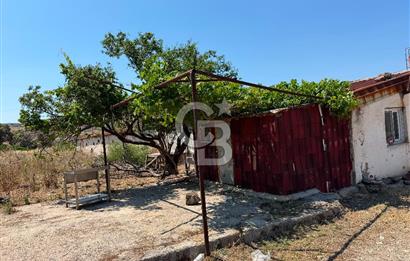 URLA ZEYTİNELİ'NDE RUHSATLI, ÜRETİME HAZIR, YÜKSEK POTANSİYELLİ TAVUK ÇİFTLİĞİ